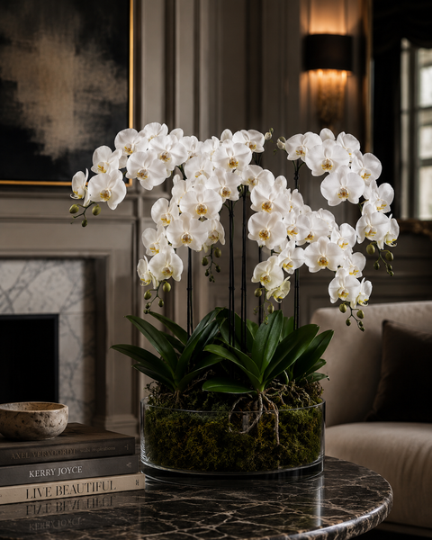Why an orchid is the perfect sympathy gift