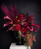 Moody crimson floral arrangement in a black vase on a white pedestal against a dark background