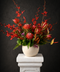 Decorative floral arrangement with red orchids and Natives in a beige vase on a white pedestal against a dark background