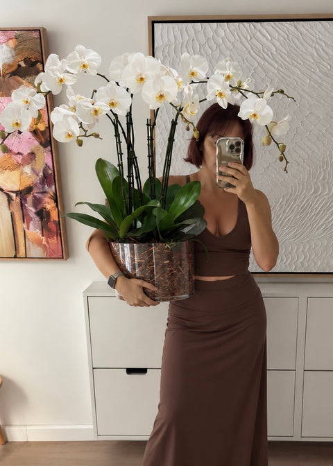 Woman holding large potted garden live white Phalaenopsis orchids with 5 large orchids