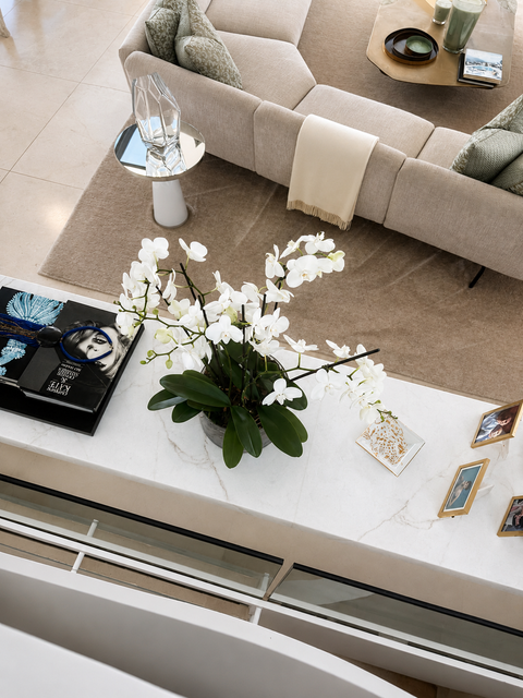 Luxury Phalaenopsis potted orchid in home 