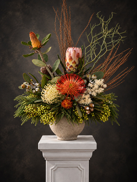 Luxury Australian native floral arrangement featuring blush protea, coral pincushion flowers, cream Grevillea, rust-toned foliage and sculptural branches in a stone vessel on a white plinth on a dark charcoal background, by Elysian & Bloom in Sydney.